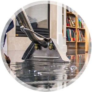 Area rug Cleaning Service Icon