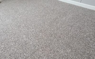 Carpet Rejuvenation in Clinton Township, MI: Lipstick Stain Erased