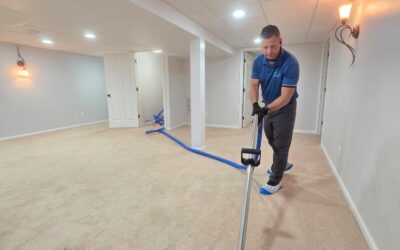 Carpet Cleaning in Washington Township, MI