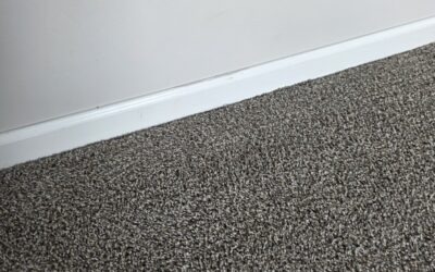 Troy, Michigan Carpet Revival: Stain-Free Transformation