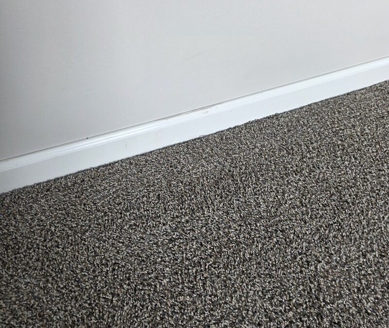 Troy, Michigan Carpet Revival: Stain-Free Transformation